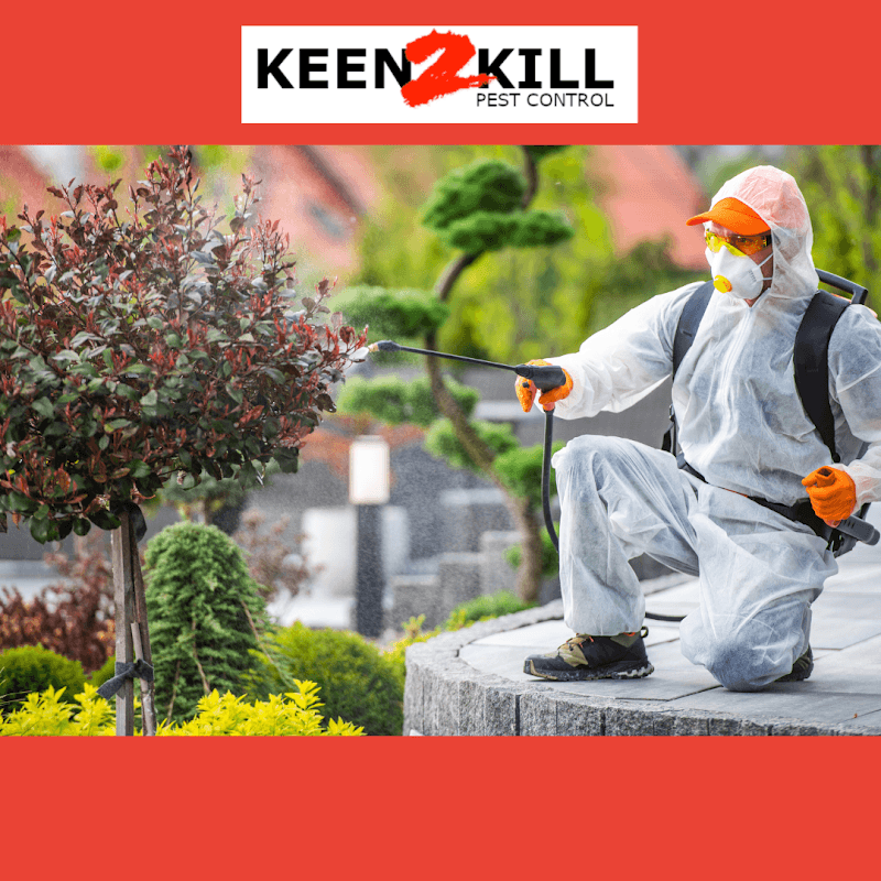 Keen2Kill Pest Control pest control work in Mackay