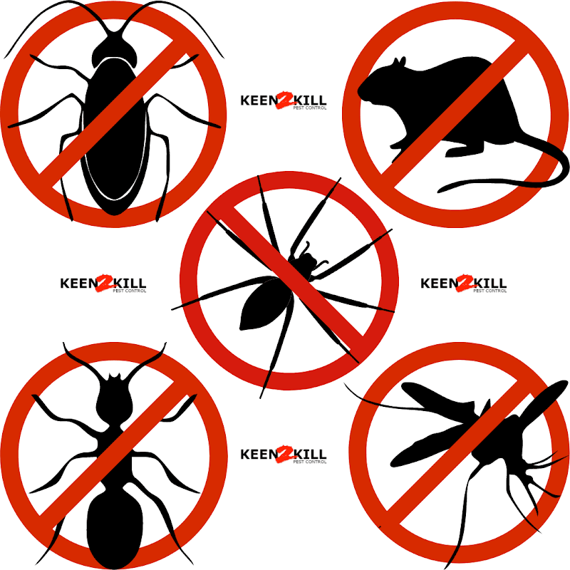 Keen2Kill Pest Control pest control work in Mackay