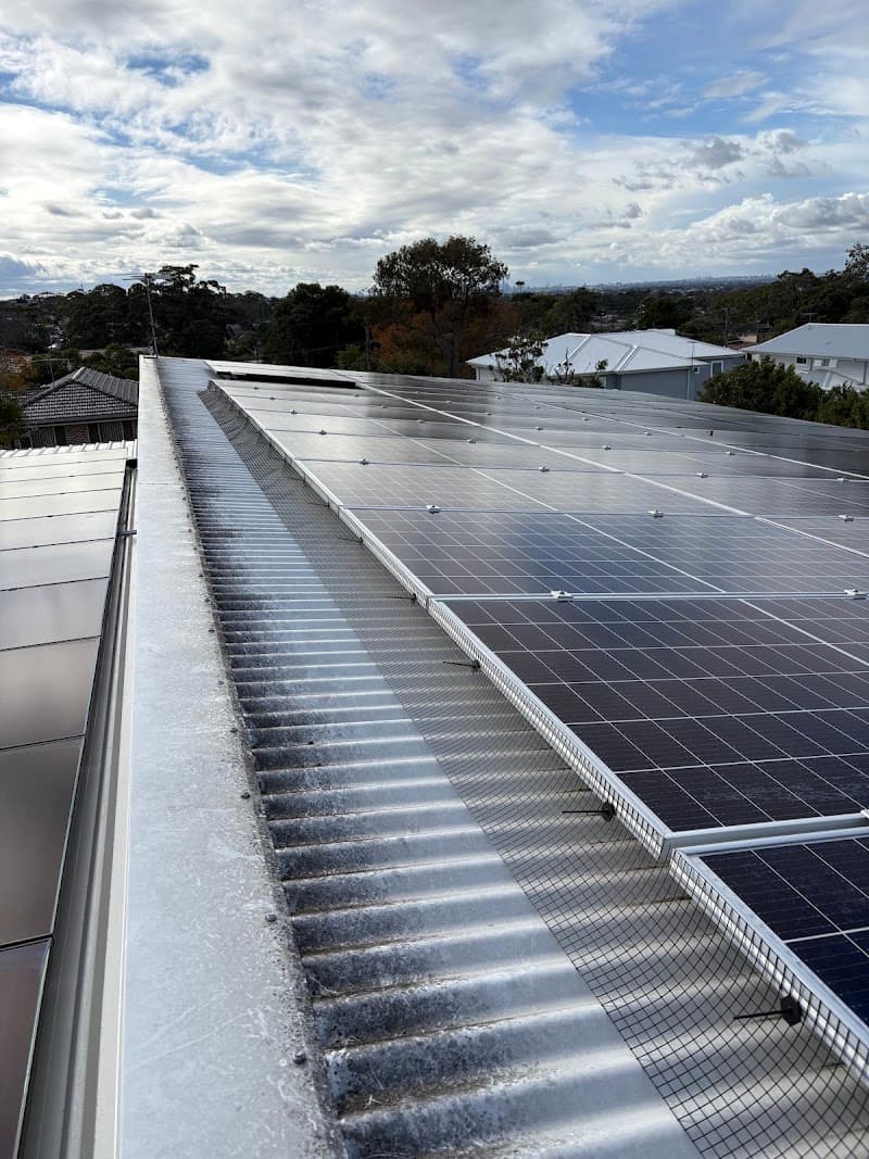 Keep Safe Pest Solutions pest control work in Caringbah South