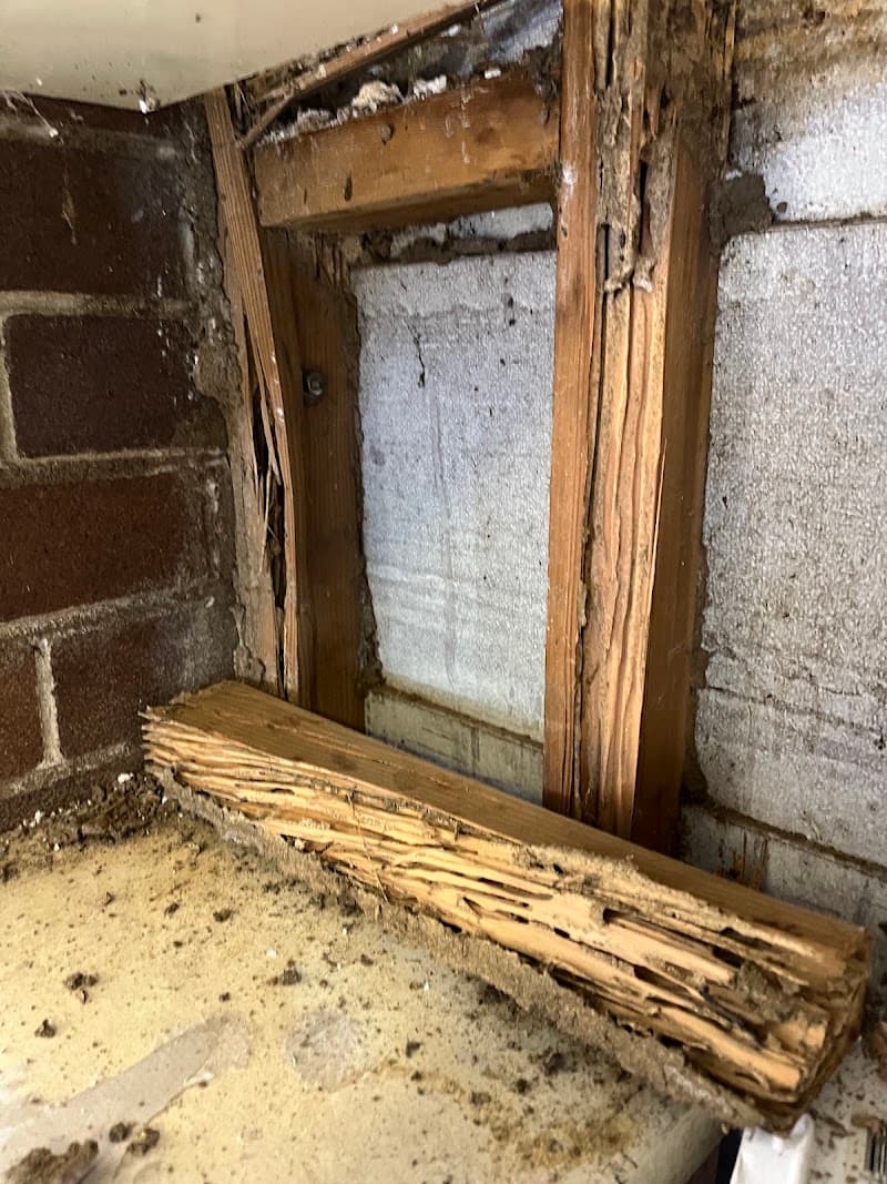 Keep Safe Pest Solutions pest control work in Caringbah South