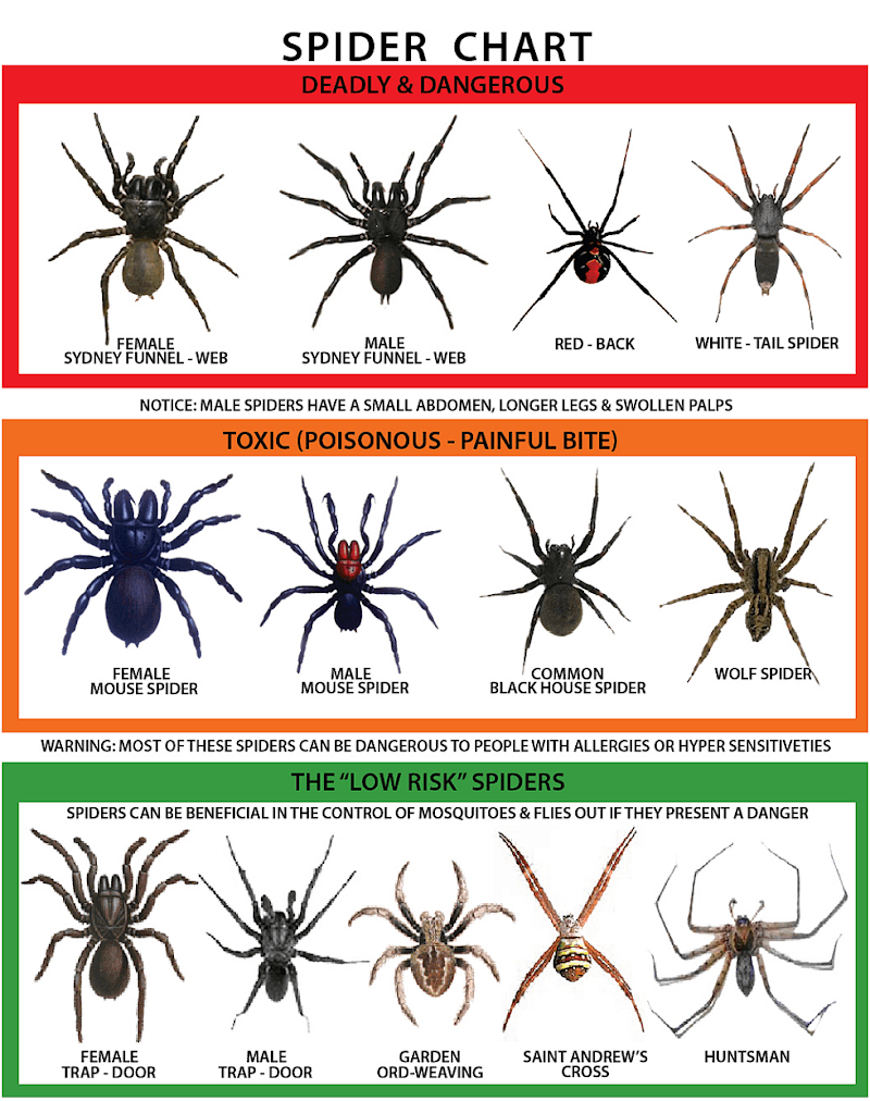 Kill A Pest Lake Macquarie - Pest Control & Termite Inspections pest control work in Wangi Wangi