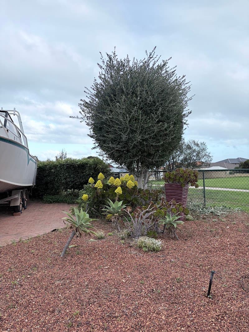 Kindest Cut Gardening and Tree Services tree services work in Tuart Hill