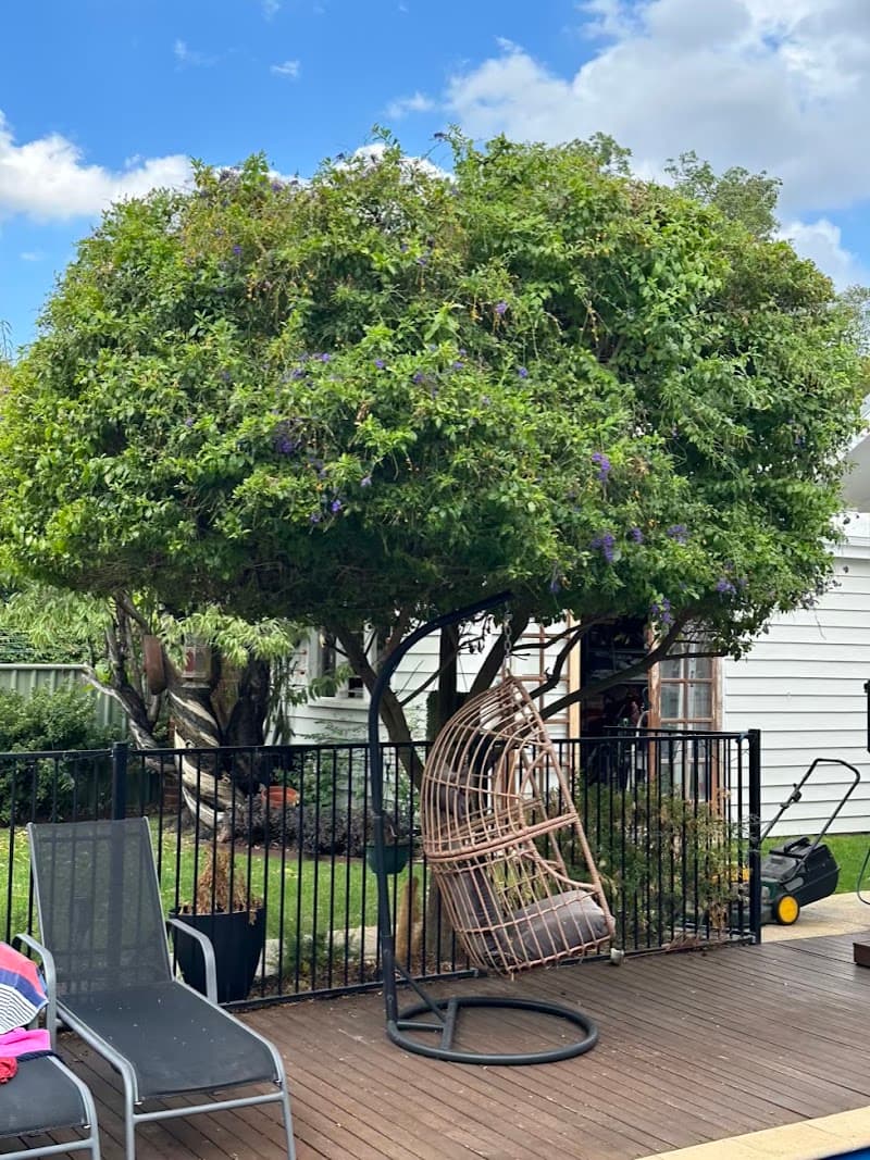 Kindest Cut Gardening and Tree Services tree services work in Tuart Hill