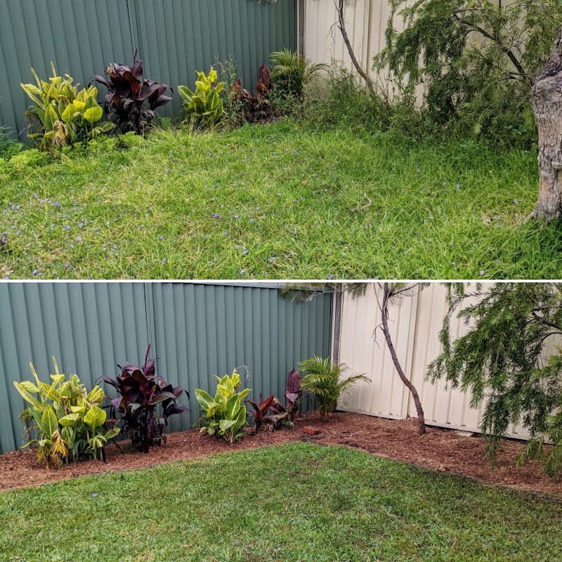 King of The Garden gardening work in Illawong
