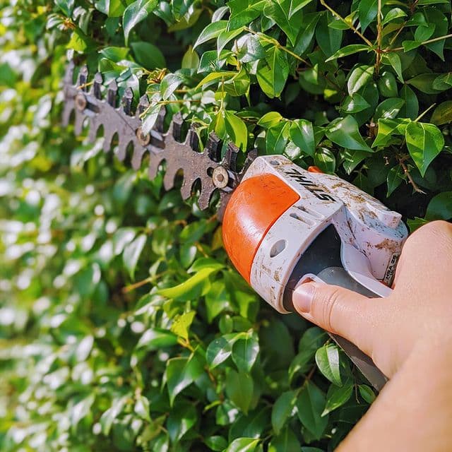 King of The Garden gardening work in Illawong