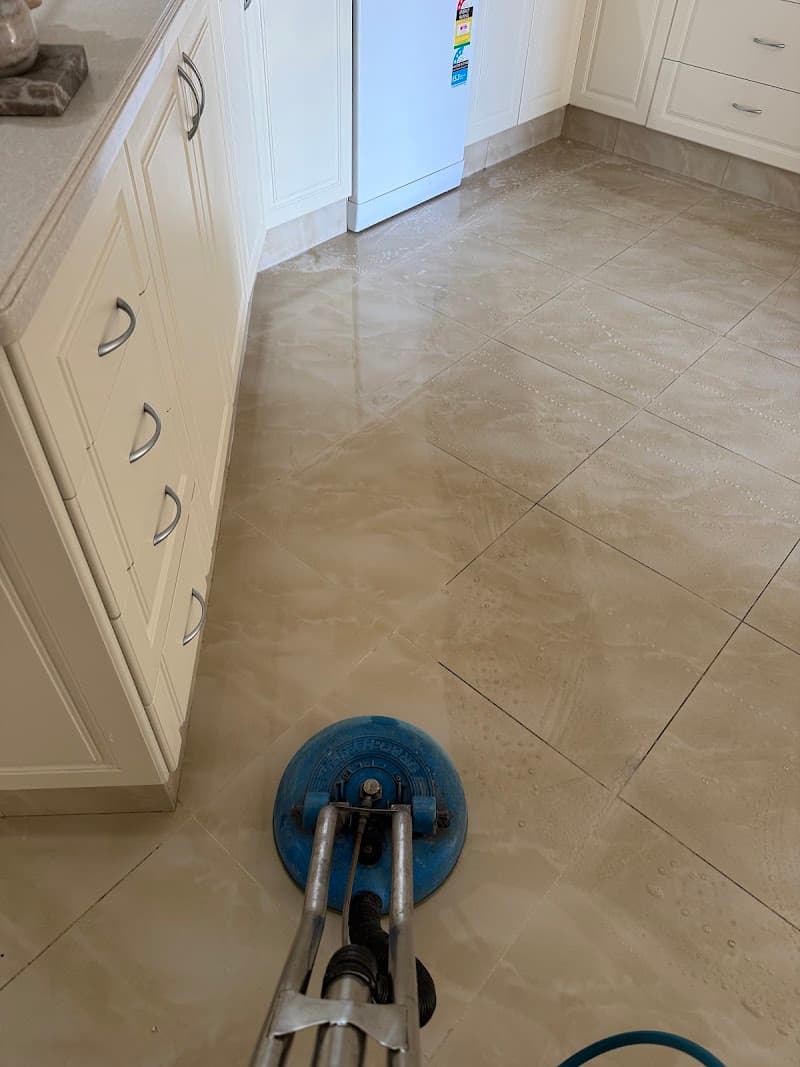 KLASS A Carpet Cleaning carpet cleaning work in Edgewater