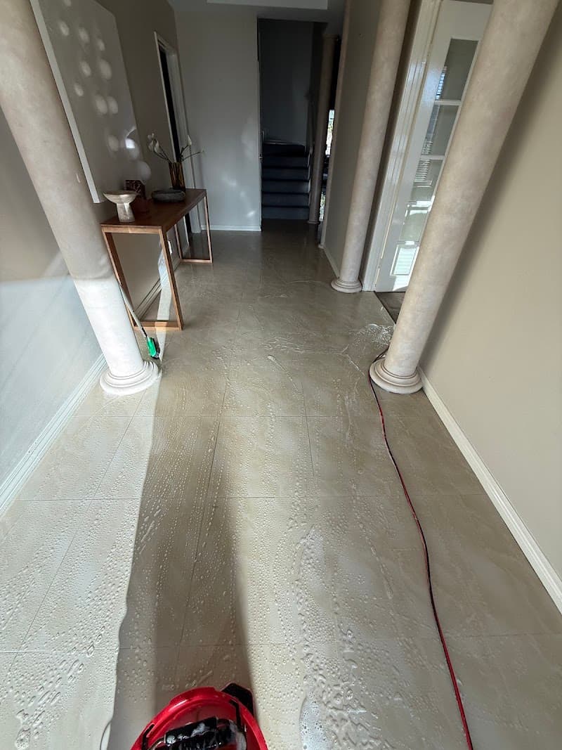 KLASS A Carpet Cleaning carpet cleaning work in Edgewater