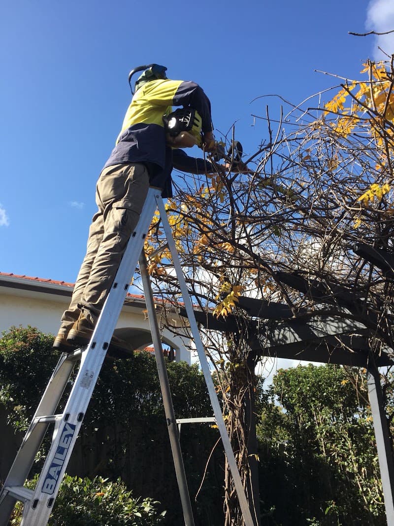 Kleenmate Services carpet cleaning work in Mandurah