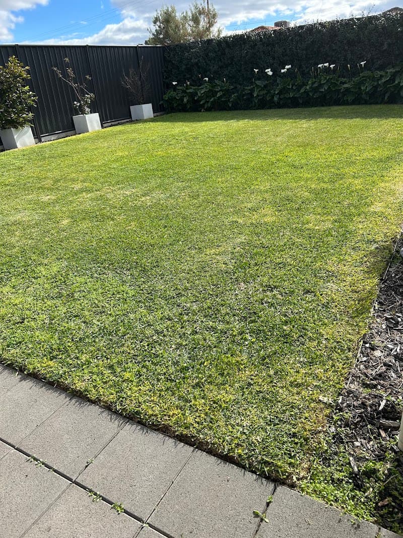Koala Lawn Mowing Adelaide SA lawn care work in Felixstow