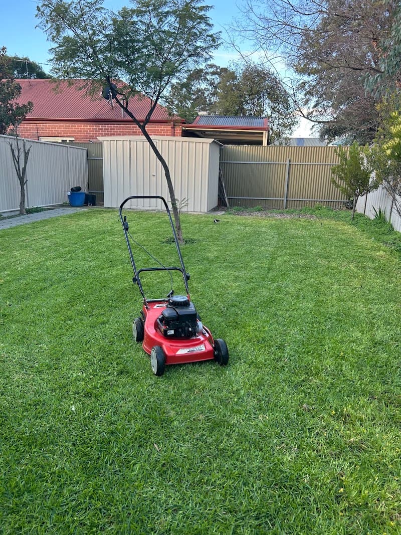 Koala Lawn Mowing Adelaide SA lawn care work in Felixstow