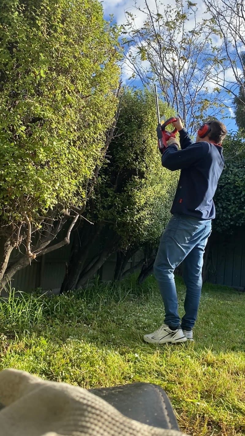 Koala Lawn Mowing Adelaide SA lawn care work in Felixstow