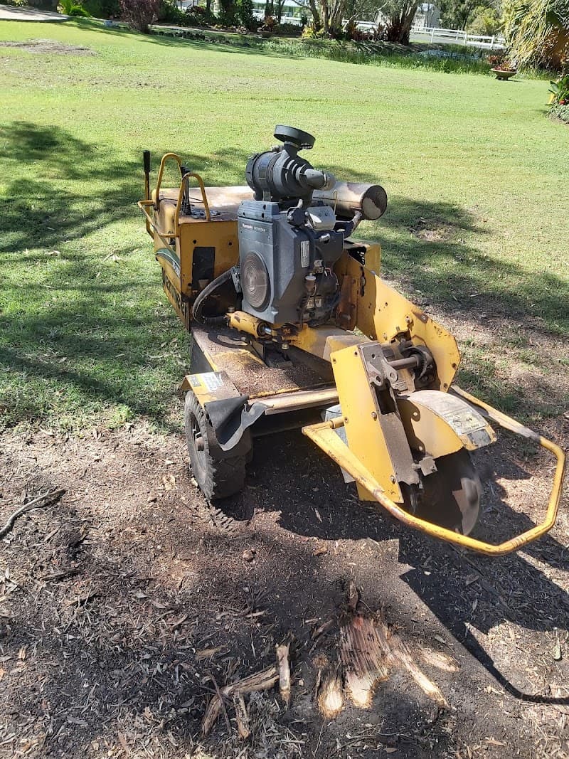 Kurt's Stump Grinding tree services work in Walligan