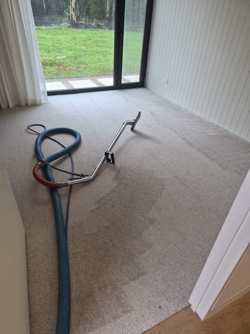 L & N Steam Cleaning carpet cleaning work in Sunbury