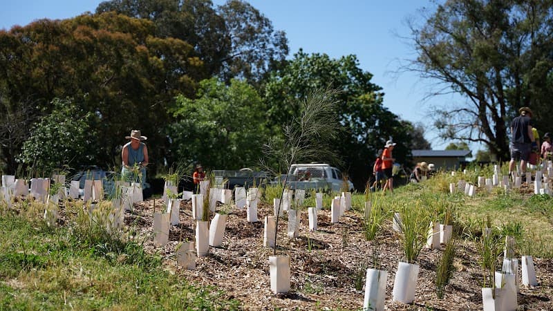Lachlan Richardson Garden Studio landscaping work in Belconnen