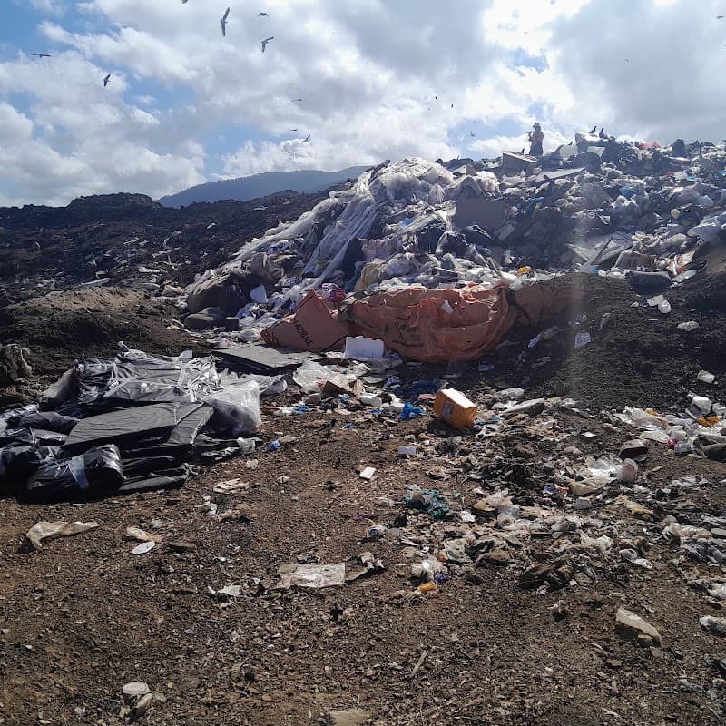 Lakes Creek Road Waste Management Facility rubbish removal work in The Common