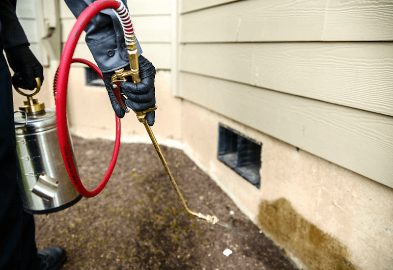 L&C Pest Management pest control work in Sydney