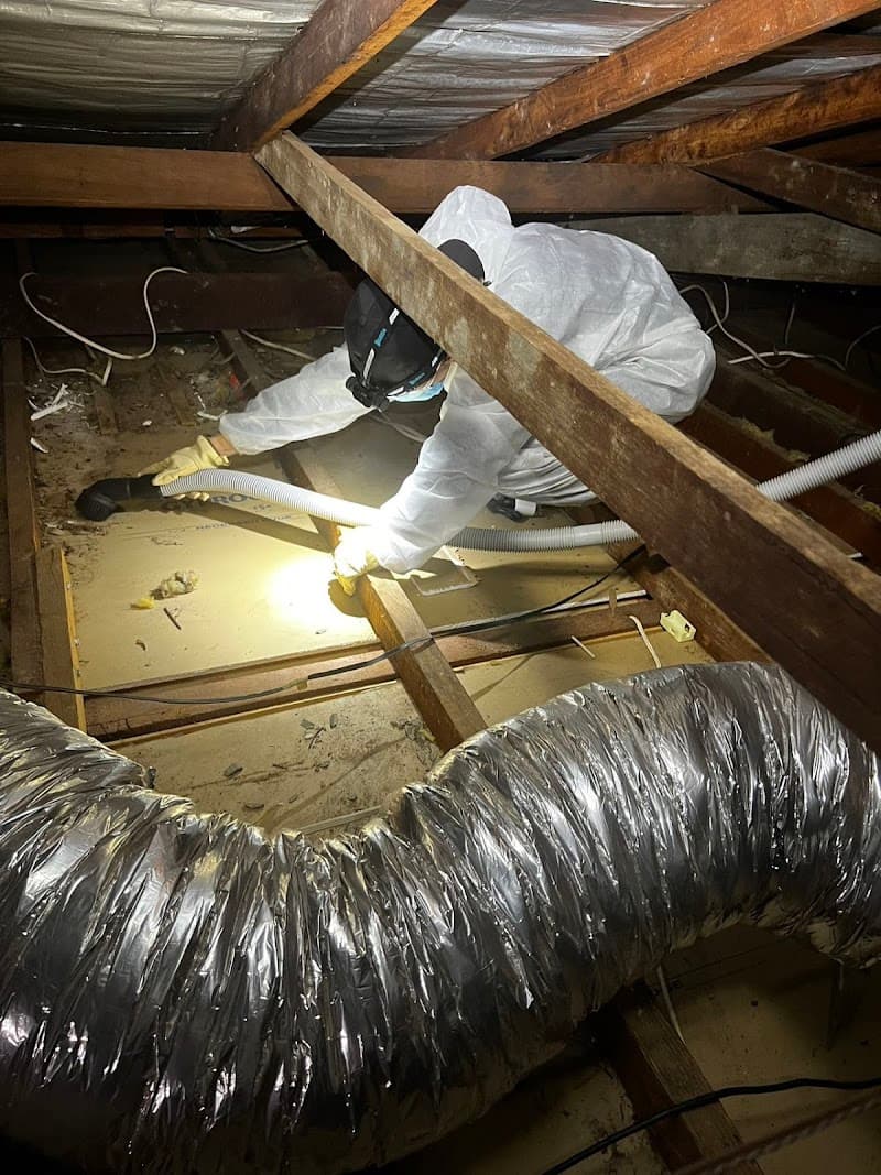 L&C Pest Management pest control work in Sydney