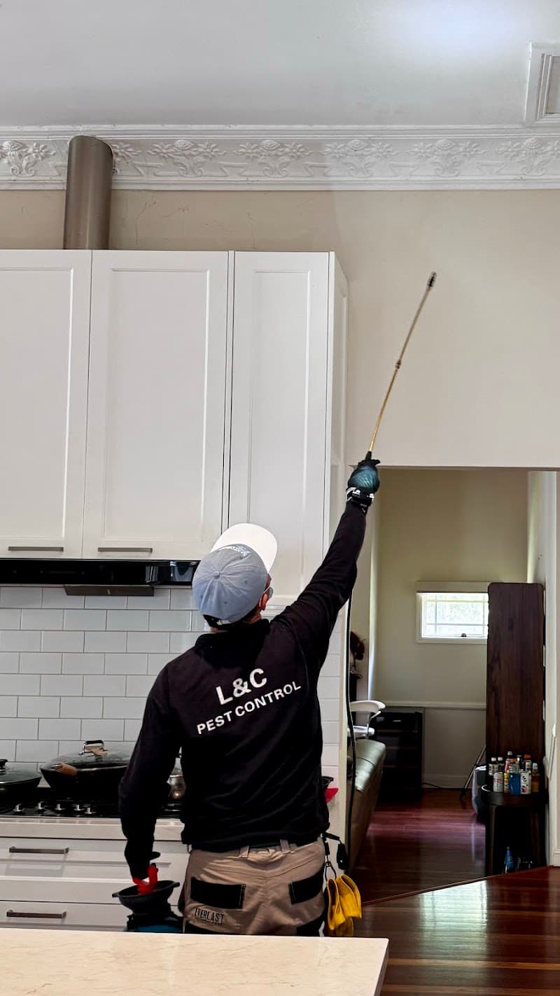 L&C Pest Management pest control work in Sydney