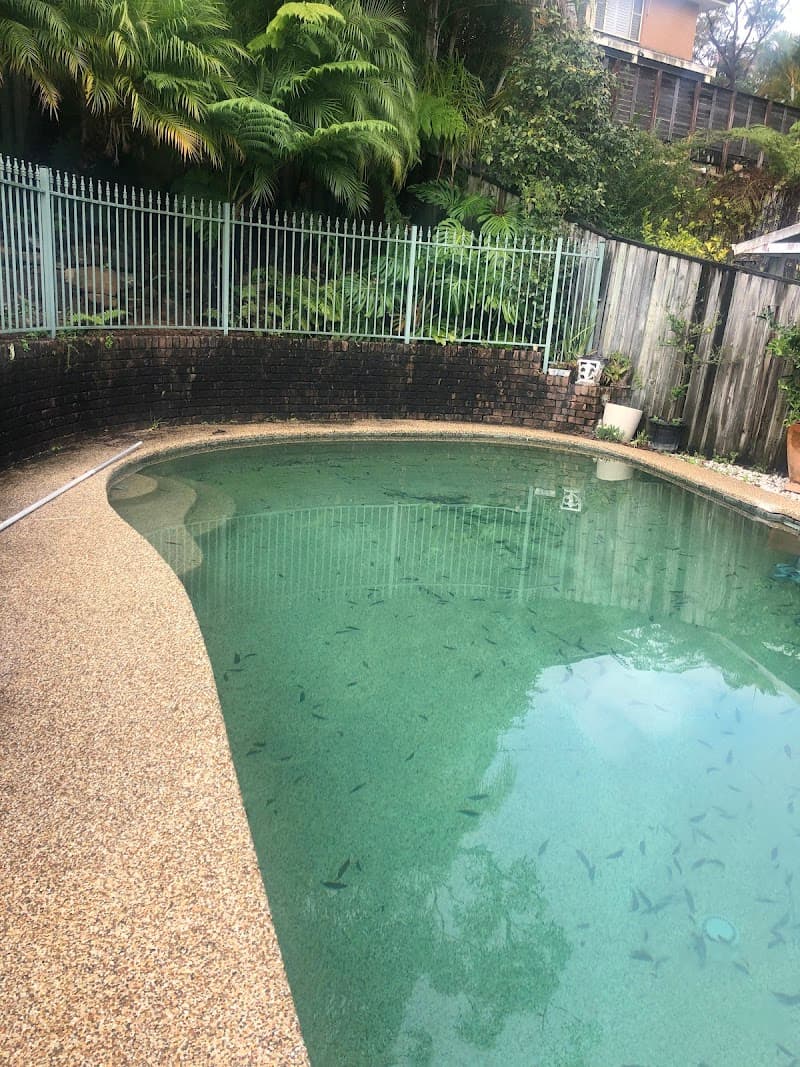 Lap of Luxury Pools Pty Ltd pool builder work in Castle Hill