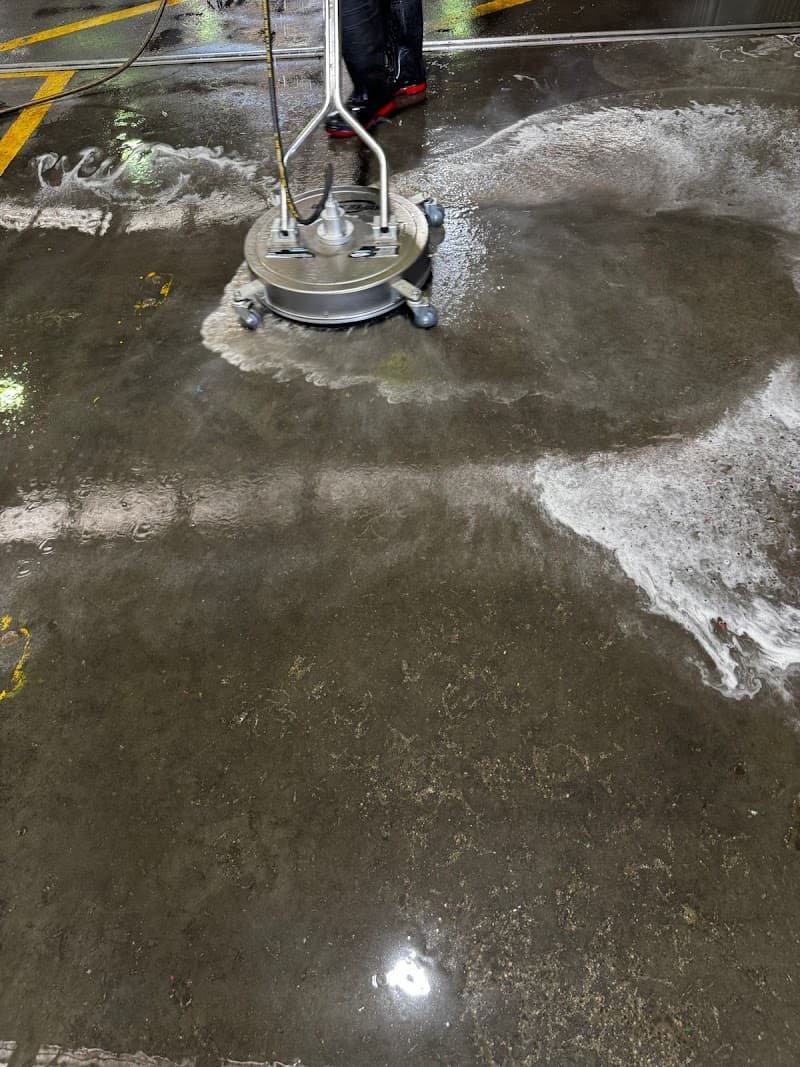 Launceston Smart Cleaning carpet cleaning work in Kings Meadows