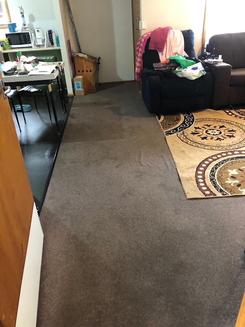 Launie Cleaning & carpet care carpet cleaning work in Mowbray