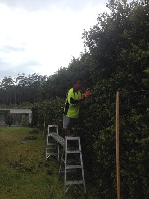 Lawn Enforcer Garden Care gardening work in Warana