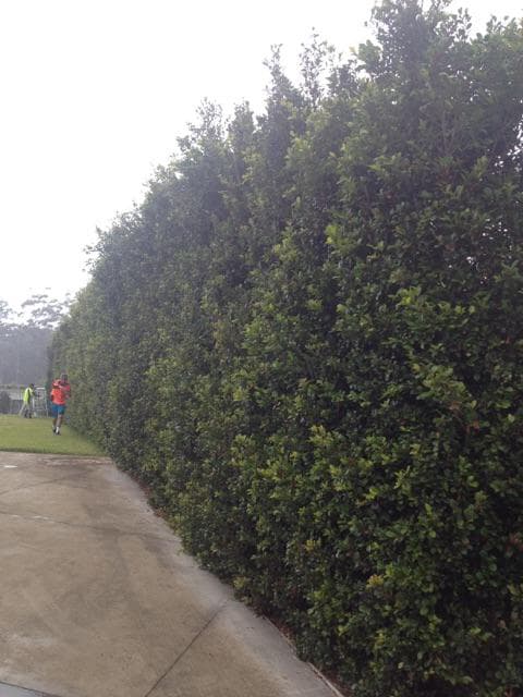 Lawn Enforcer Garden Care gardening work in Warana