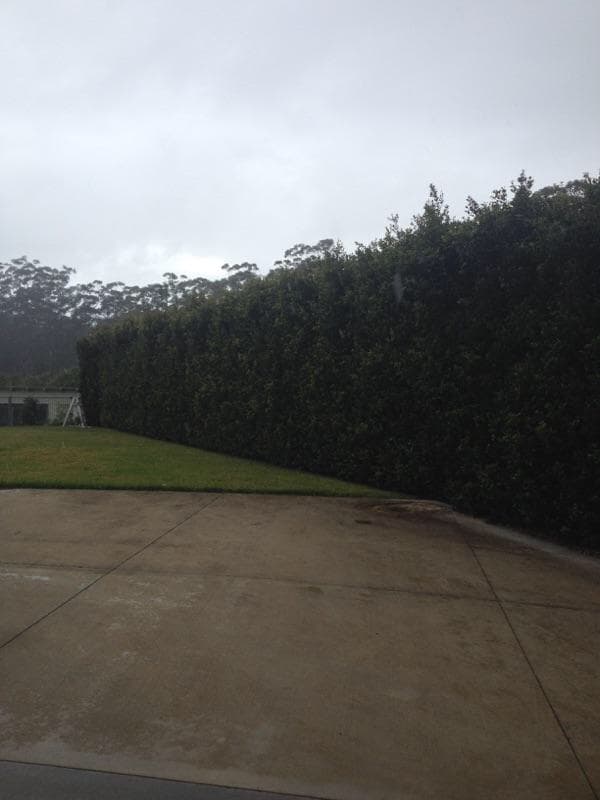 Lawn Enforcer Garden Care gardening work in Warana