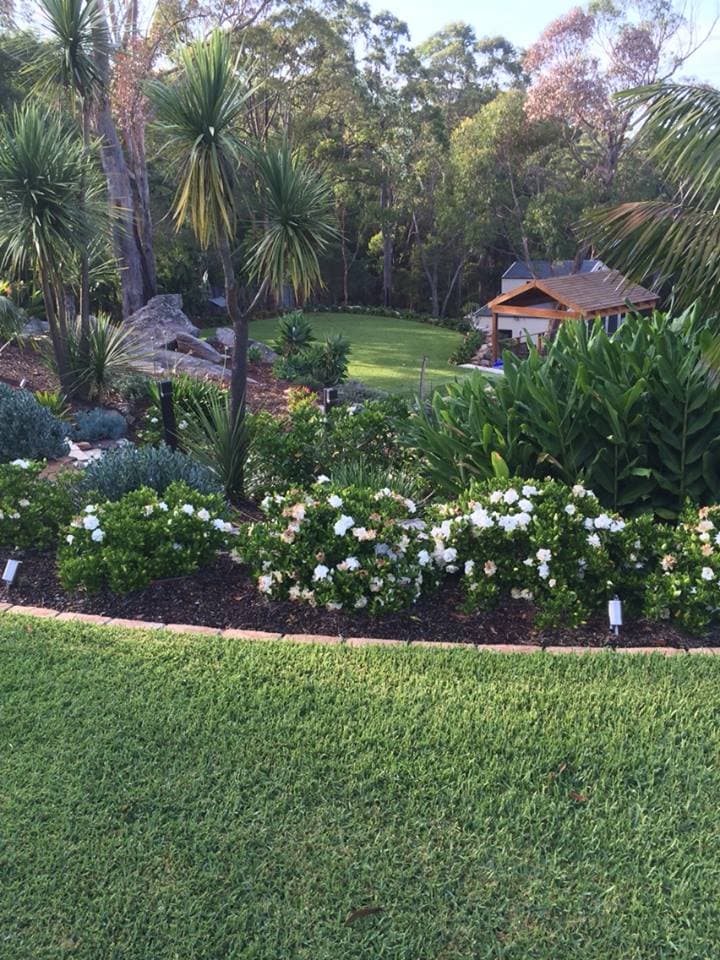 Lawn Green - The Lawn Expert for Lawn Repairs lawn care work in Cherrybrook