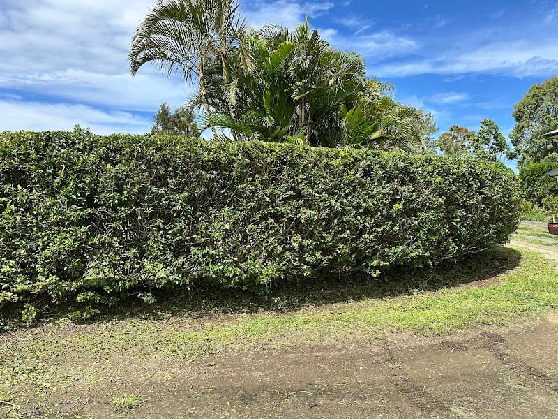 Lawn Help gardening work in Kepnock