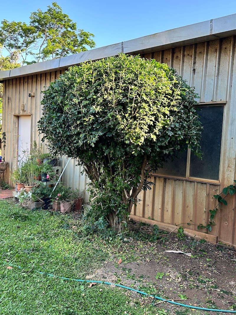Lawn Help gardening work in Kepnock
