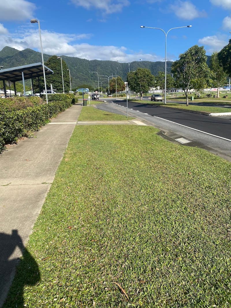 Lawn in Order FNQ gardening work in Bentley Park