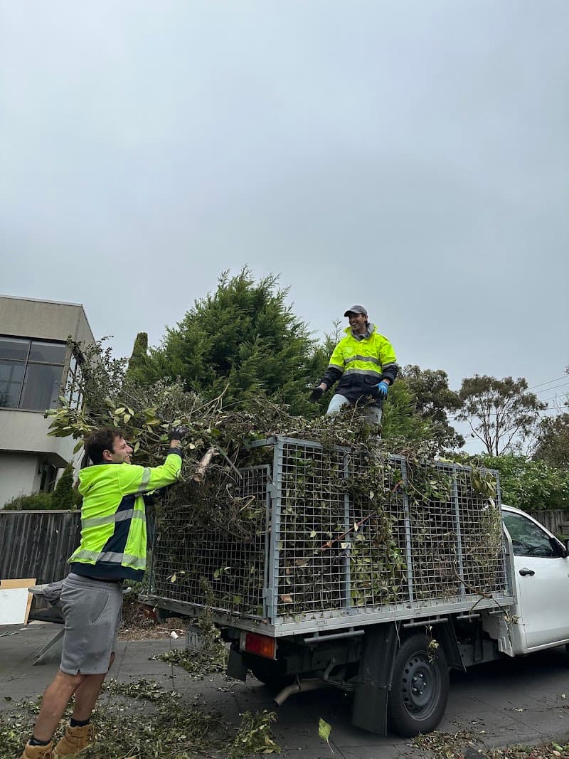 Lawn Link (Division of Augusta) lawn care work in Ashburton