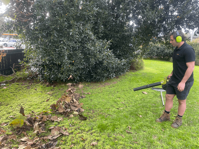 Lawn Link (Division of Augusta) lawn care work in Ashburton