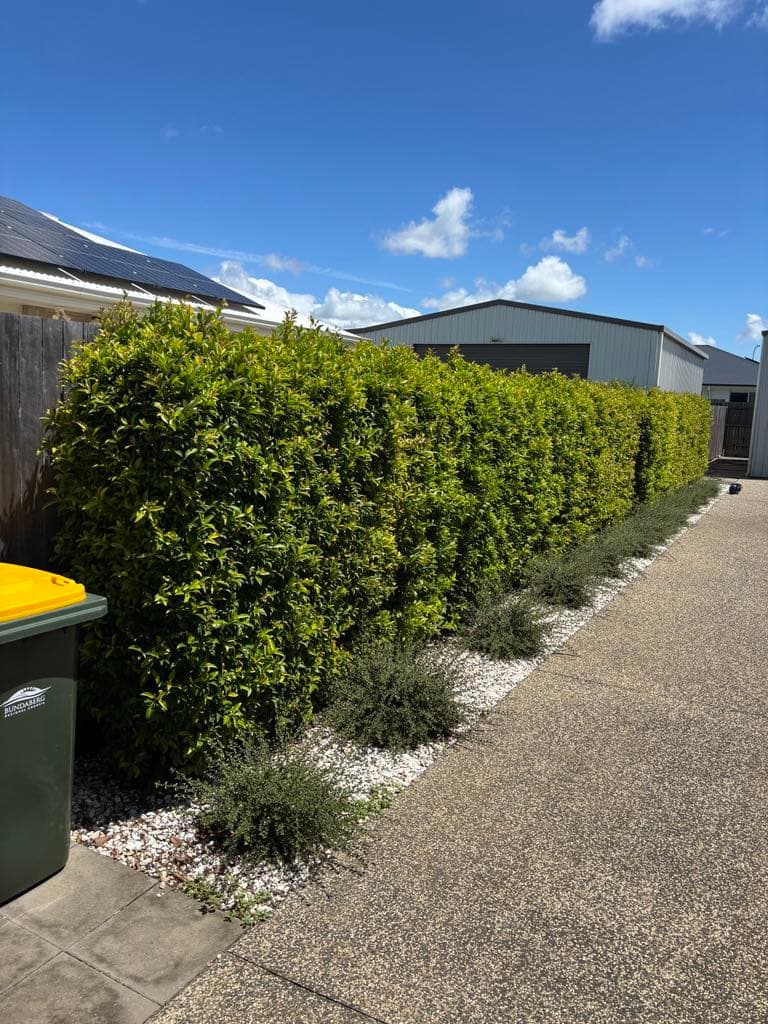 Lawn Lovers Plus lawn care work in Elliott Heads