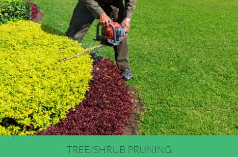 Lawn Mowing Services lawn care work in Mindarie