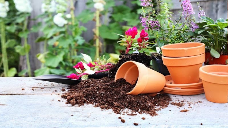 Lawn Mowing Services lawn care work in Mindarie