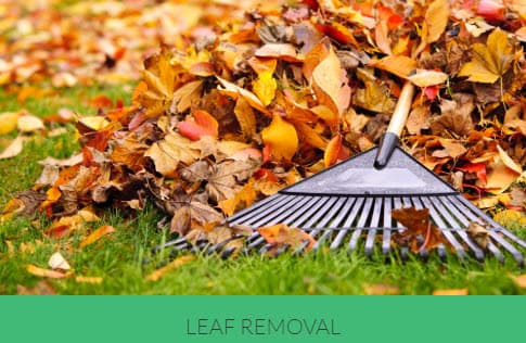 Lawn Mowing Services lawn care work in Mindarie