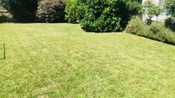 Lawn Mowings Australia