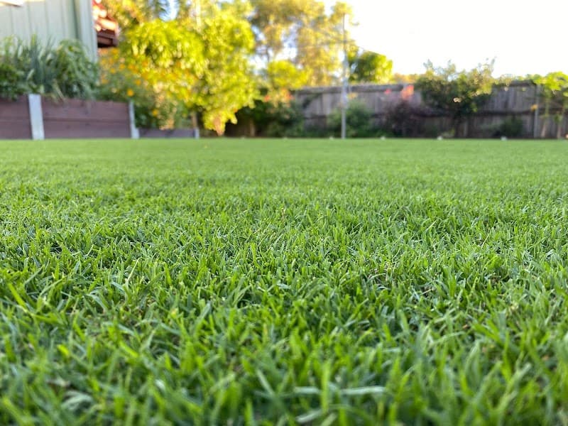 Lawn Mowings Australia lawn care work in Tarneit