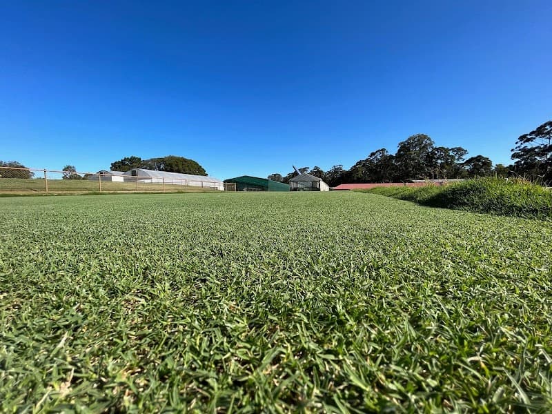 Lawn Mowings Australia lawn care work in Tarneit