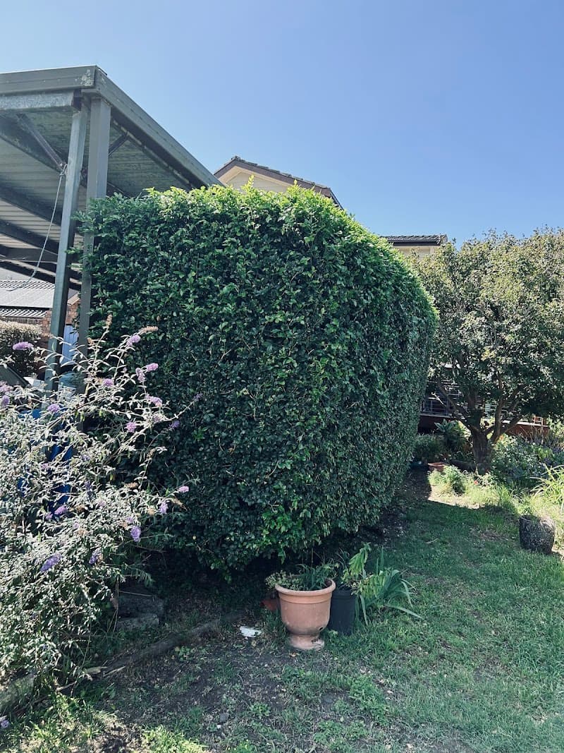 Lawncraft Newcastle gardening work in Mayfield