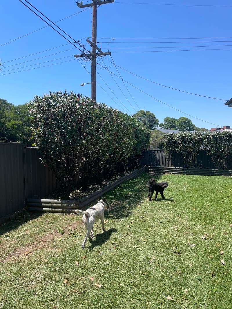 Lawncraft Newcastle gardening work in Mayfield