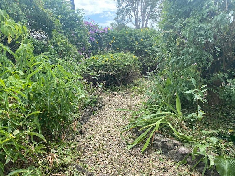 Lawns for Less gardening work in Parramatta Park