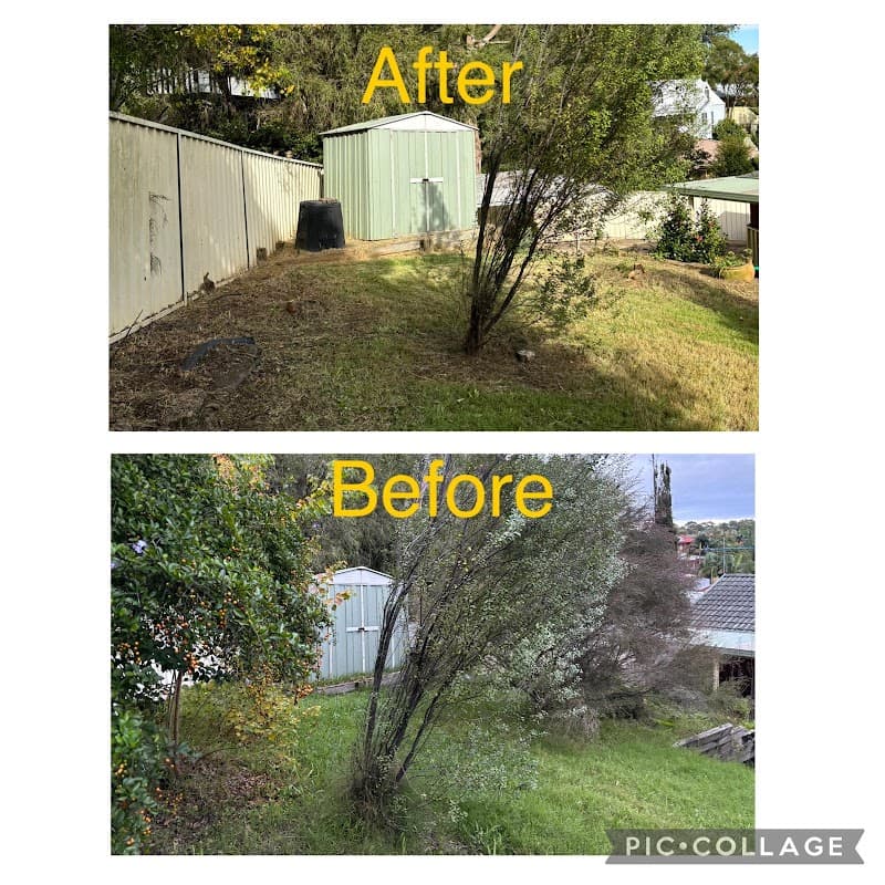 Lawnscape Lake Macquarie gardening work in Toronto