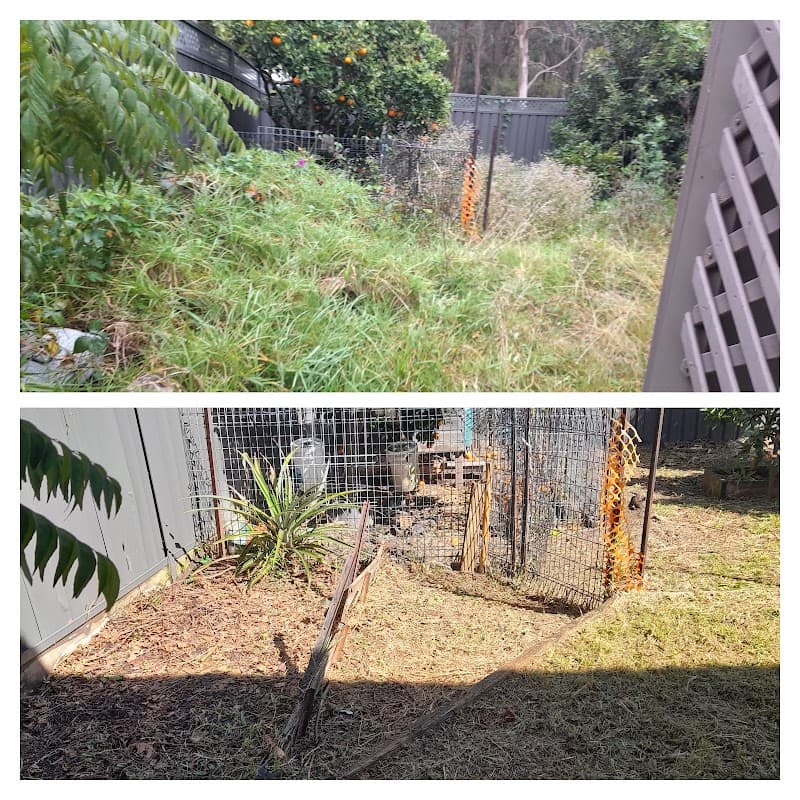 Lawnscape Lake Macquarie gardening work in Toronto