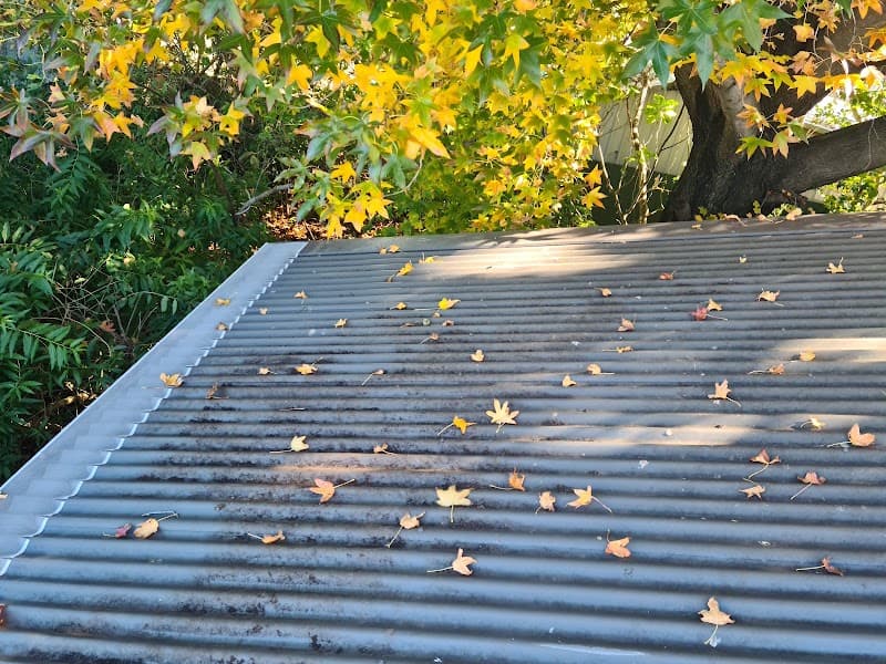 Leaf Free Gutter Guard gutter cleaning work in Toronto