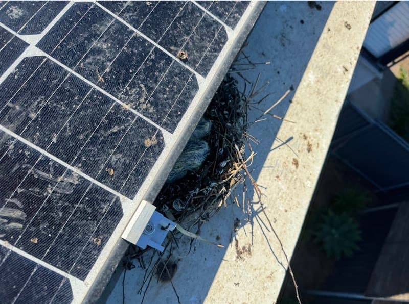 Leaf it 2 us gutter cleaning work in Adelaide