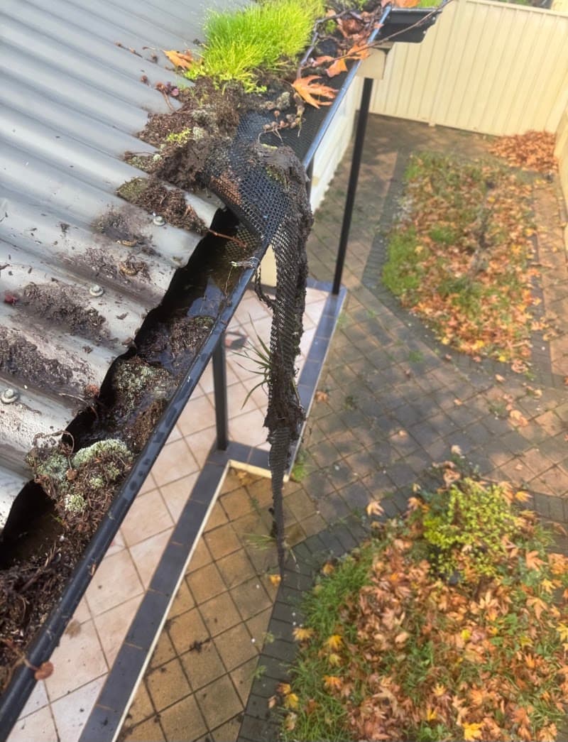 Leaf it 2 us gutter cleaning work in Adelaide