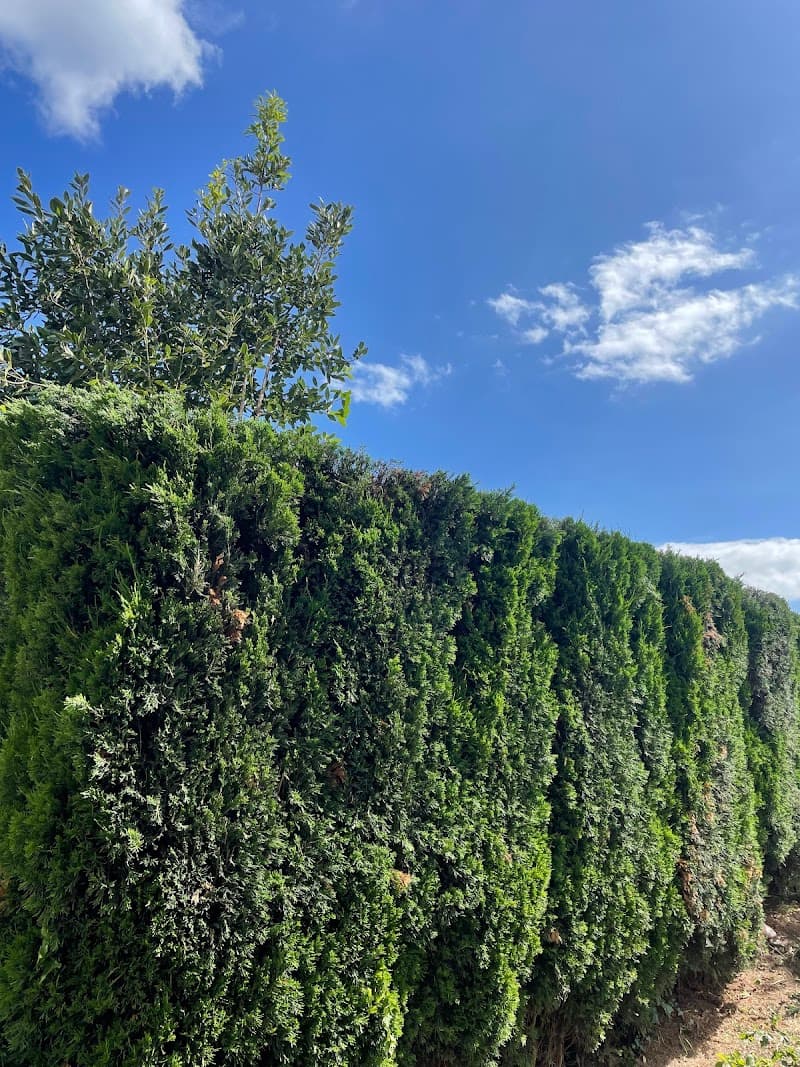 Leaf to Lawn Gardening gardening work in Nunawading